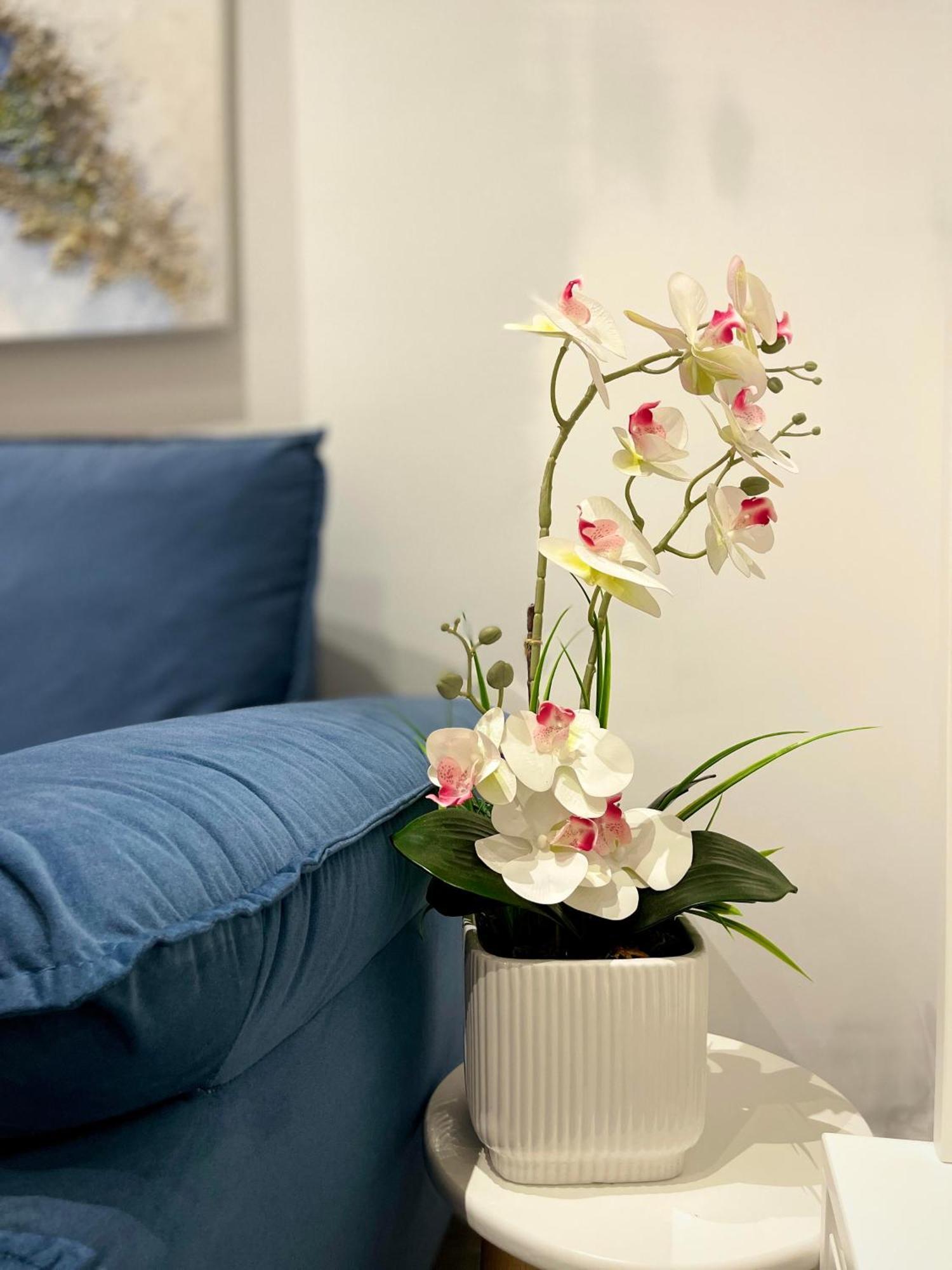 Dreamy Apartment In Tirana Bagian luar foto